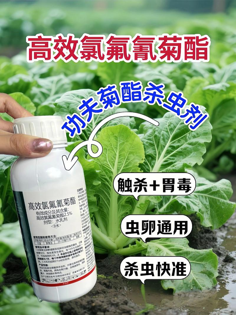 迪庆代生中心:农药对供卵代生妈妈的危害